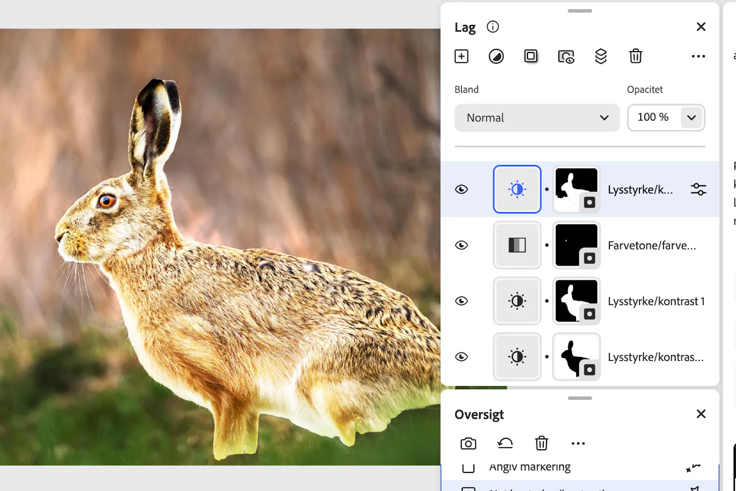 Fødderne kom ikke med, da AI-assistenten forsøgte at lægge en maske på haren. Fødderne kom ikke med, da AI-assistenten forsøgte at lægge en maske på haren.